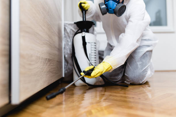 Best Termite Control Services  in Spring Hill, FL
