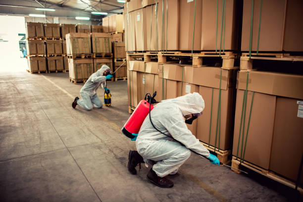 Best Pest Inspection Near Me  in Spring Hill, FL