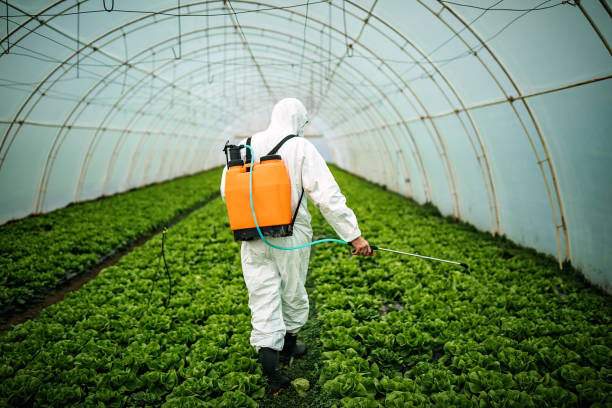 Best Residential Pest Control  in Spring Hill, FL
