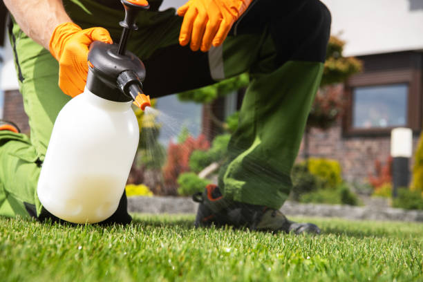 Best Commercial Pest Control Services  in Spring Hill, FL