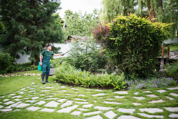 Best Exterminator Services  in Spring Hill, FL