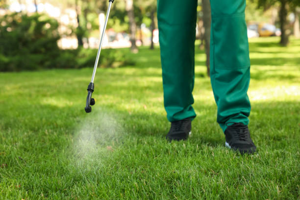 Best Spider Control Near Me  in Spring Hill, FL