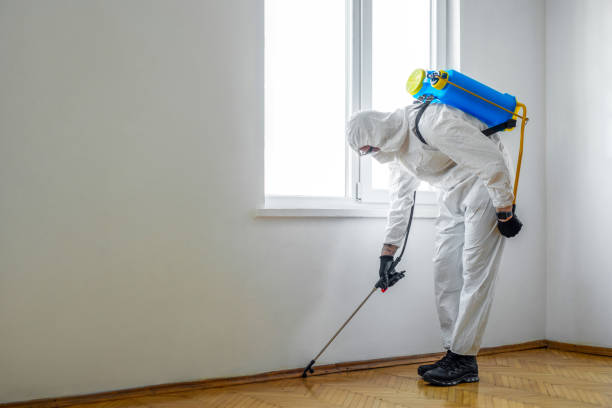 Best Emergency Pest Control  in Spring Hill, FL