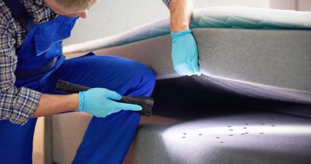 Best Pest Control Near Me in Spring Hill, FL