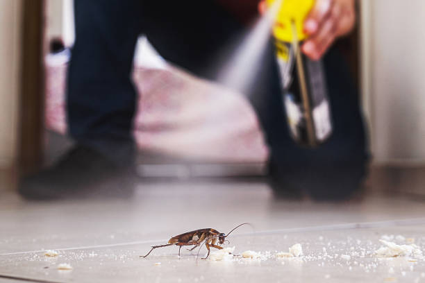 Best Affordable Pest Control Services  in Spring Hill, FL