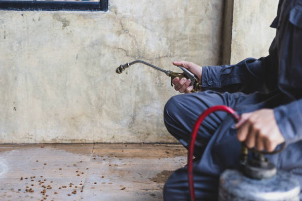Best Best Pest Control Companies  in Spring Hill, FL